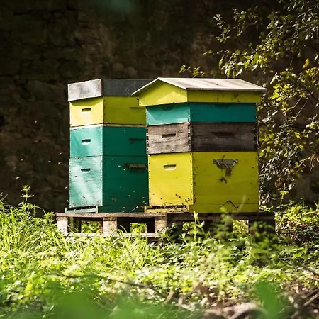 Domaine D'auriac - Relais & Chateaux 5*