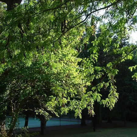 Domaine D'auriac - Relais & Chateaux Отель Каркассон