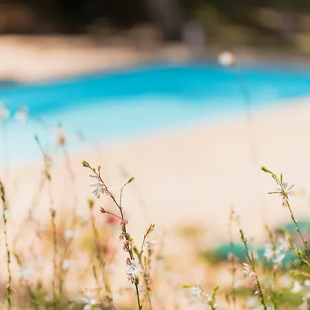 Domaine D'auriac - Relais & Chateaux 5* Каркассон