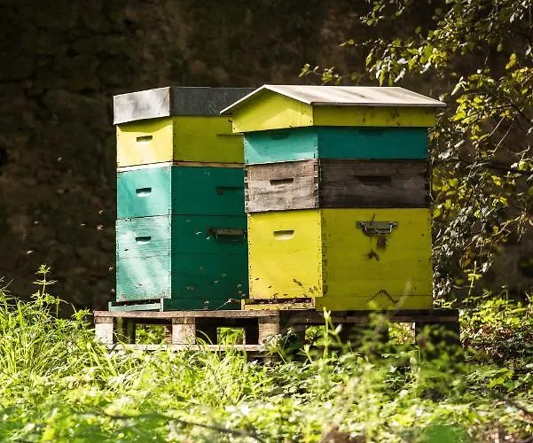 Domaine D'auriac - Relais & Chateaux 5*